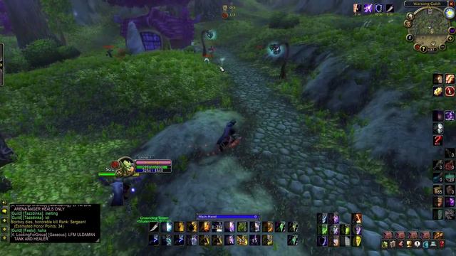 My FIRST Warsong Gulch - Elemental Shaman WPvP - WoW Classic смотреть онлайн