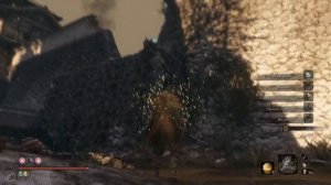 Sekiro: Shadows Die Twice – Пасхалки и секреты