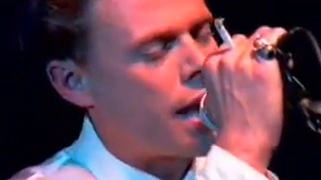 Willem Kloos Groep speelt: Wanden van mijn hart смотреть онлайн