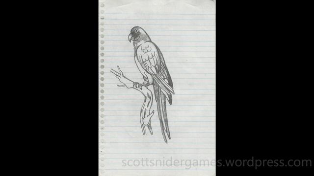 Macaw Parrot Pencil Sketch Video #2 (03-22-2023) смотреть онлайн