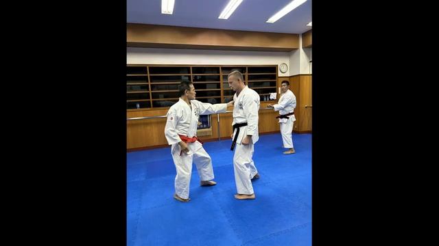 IKO Goju Ryu Honbu Dojo in Tokyo - part 18 смотреть онлайн