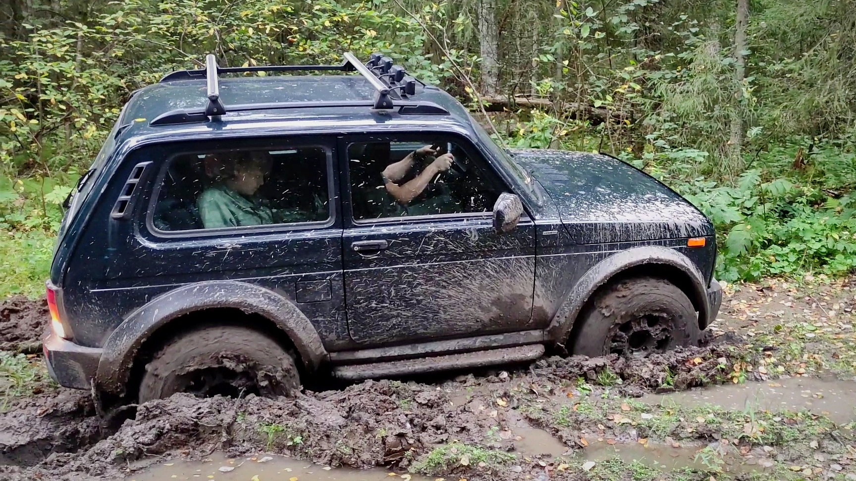 Нива БРОНТО. Лютое бездорожье. Поехали за грибами в дальний лес. смотреть онлайн