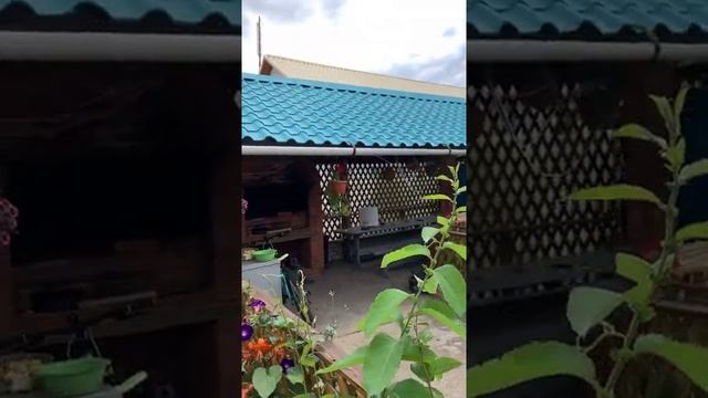 Снять дом для отдыха в рощино смотреть онлайн