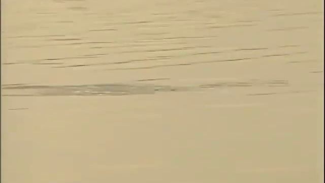 Ловля щуки на спиннинг смотреть онлайн