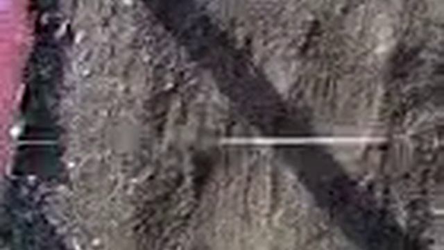 какой-то новый вид червяка смотреть онлайн