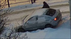 воздуходувка номер 1 щётка для машины больше не нужна, сдуваю снег с машины