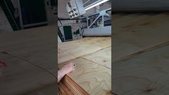 Шпон березовый продам. Цех сушки шпона ООО "ВИС". Подача шпона сушильная камера СУР-4 смотреть онлайн