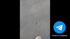КОПЛЮ НА ПИТБАЙК ДЕНЬ 4! СБОР АЛЮМИНИЕВЫХ БАНОК