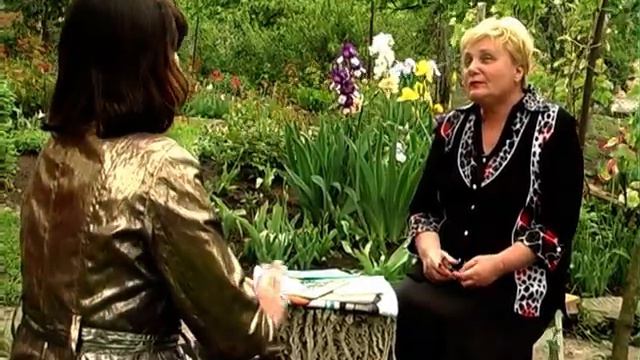 "Камертон душі. Людмила Ніколаєвська (журналістка «Либідея»)" смотреть онлайн
