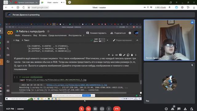 Работа с библиотекой Numpy смотреть онлайн