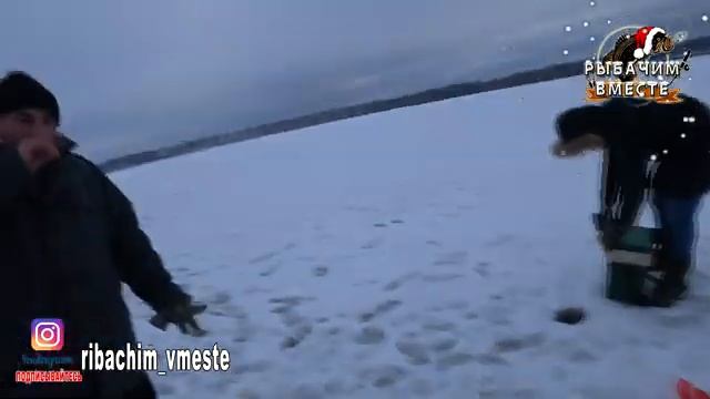 Крупный Карась на Болоте Рыбалка 2020 смотреть онлайн