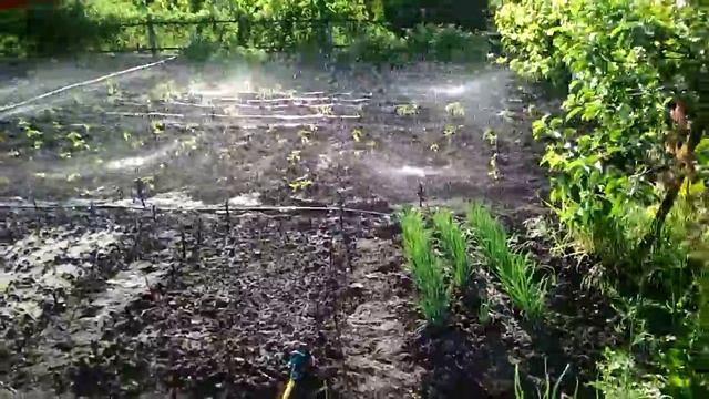 Минидождеватели Azud RainTec на стойке (Испания) смотреть онлайн