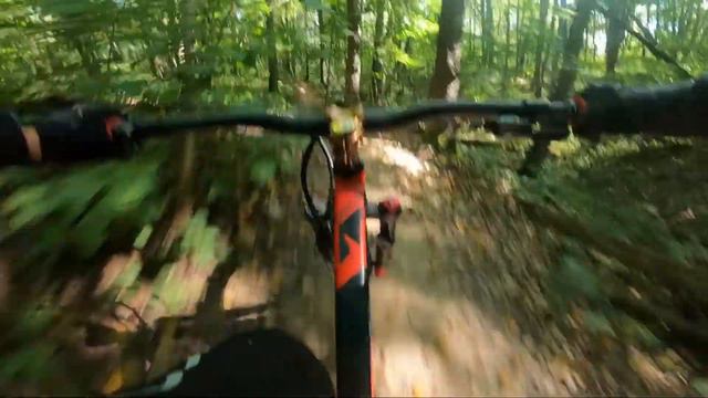 Битцевский лес: Кленовый 2 смотреть онлайн