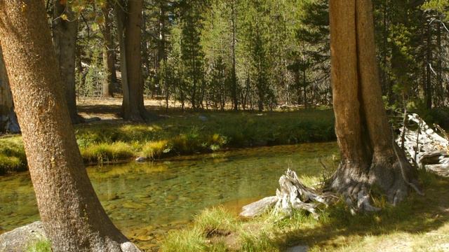 Relax Piano 3 смотреть онлайн