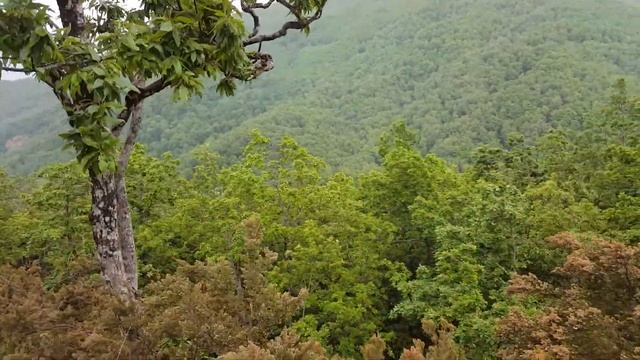 18 mai 2018 Guerrouche ... JIJEL смотреть онлайн