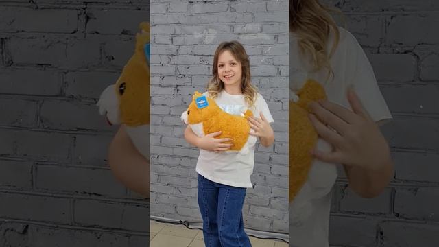 Мягкая игрушка Корги #shorts смотреть онлайн