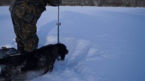 Поход на лыжах по реке Лыжа. Таёжный быт. Лесное озеро. 4 дня один в зимней тайге. Дикая кухня