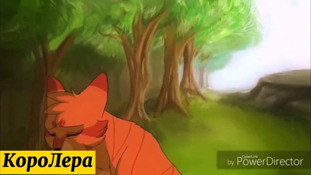 Коты Воители. Клип. - Огнезвёзд - Я в моменте смотреть онлайн