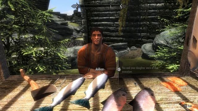 Getting to know Solitude (with the Become a Bard, Familiar Faces and Alternate Actors Mods) смотреть онлайн