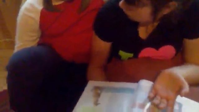 Выбираем собак.mp4 смотреть онлайн