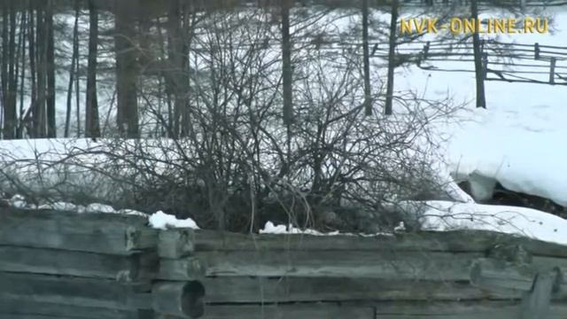 В рамках программы дальневосточного гектара в Амгинском улусе возродят поселок Булун смотреть онлайн