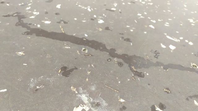 Скейт парк в Тутаеве через пол года после запуска смотреть онлайн