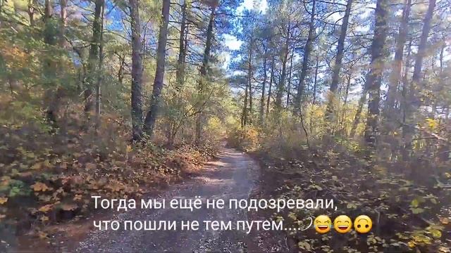 НАША ПОЕЗДКА В ПИЦУНДСКИЙ ЗАПОВЕДНИК! НЕМНОГО ЗАБЛУДИЛИСЬ, ГУЛЯЕМ ПО ЧУДЕСНОМУ ЛЕСУ! смотреть онлайн