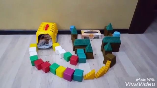 Голубой дамбо. Вик 1 мес. смотреть онлайн