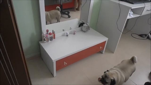 Ура!!! Ремонт Закончен!!!! смотреть онлайн