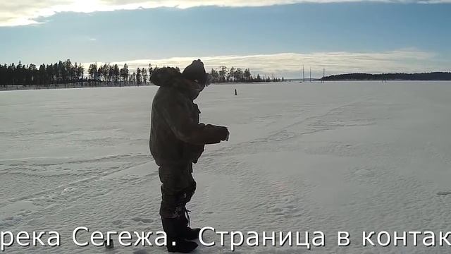 Сегозеро. Отличная рыбалка на форель, хариуса и сига. смотреть онлайн