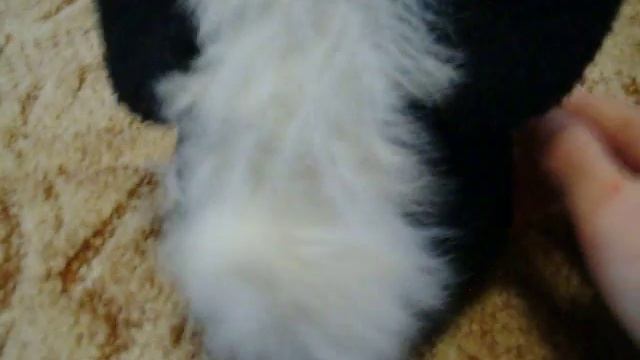 Наш "домашний питомец" - Ферби смотреть онлайн