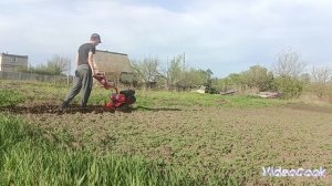 мотоблок салют 100; весенняя культивация