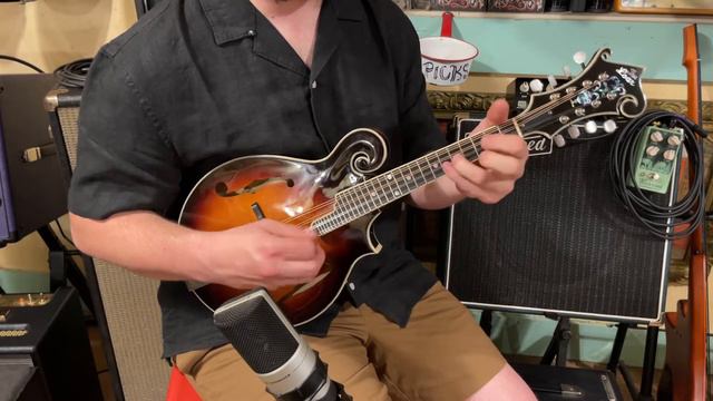 2010s Loar LM-700 carved-top F-style mandolin смотреть онлайн