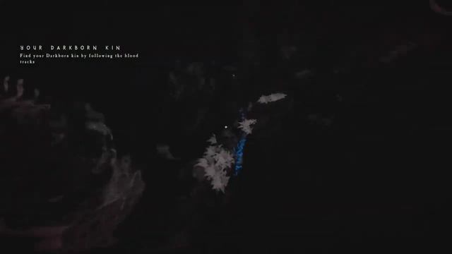 DARKBORN NEW Official Gameplay Trailer 2019 смотреть онлайн