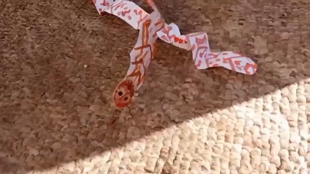 змейка Айка змейка Иса гим школи змеят??? смотреть онлайн