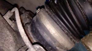 TOYOTA HILUX 2013год, непонятный резиновый скрип, что бы это значило????