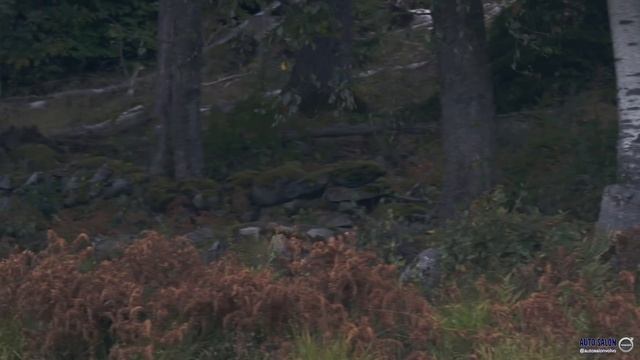 VOLVO V60 CROSS COUNTRY 2019 || Todo lo que necesitas saber смотреть онлайн