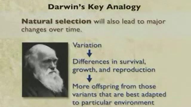 Evolution - Selection In Action 1of6 смотреть онлайн