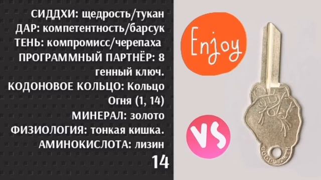 14 генный ключ. Тень компромисса. Теория и практика.