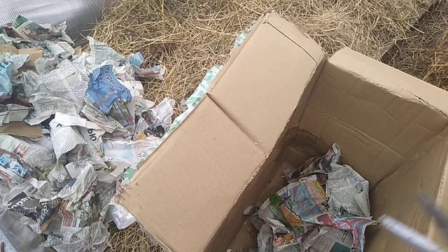 Распаковка коробки с рассадой из Белоруссии часть -2 // Ягодная Империя Анастасии смотреть онлайн