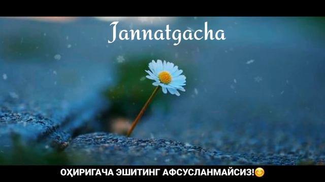 Фиравн хақидаги барча хақиқатлар°Абдуллох домла°Abdulloh Domla°Ilmnuri