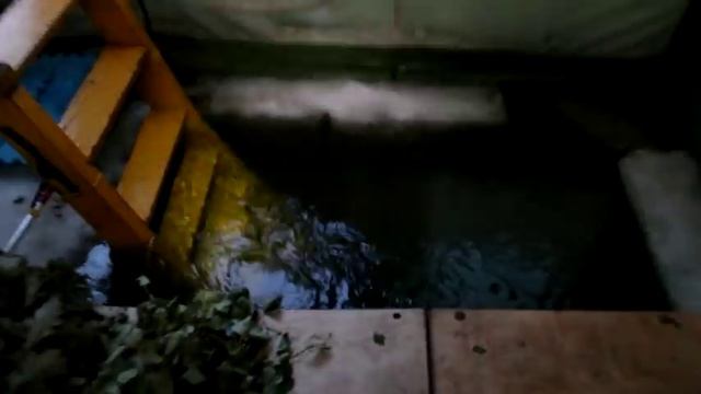 Наша банька мобиба внутри смотреть онлайн