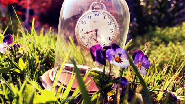 ПОЧЕМУ ЖИЗНЬ УСКОРЯЕТСЯ С ВОЗРАСТОМ? КАК БЫСТРО МЫ СТАРЕЕМ! смотреть онлайн