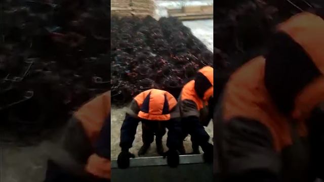 Геофизика пауки смотреть онлайн