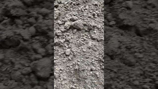 Как выбрать правильный плодородный грунт для Вашего участка смотреть онлайн