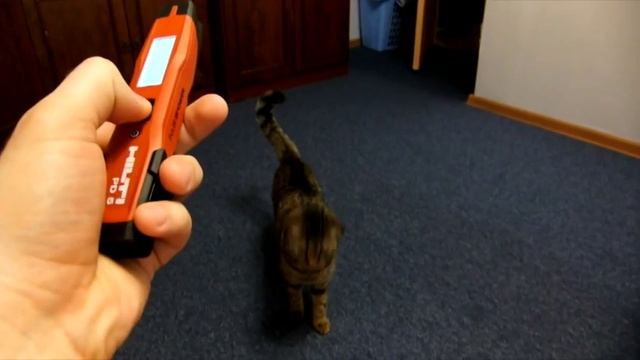 Игрушка для Котиков Hilti PD5