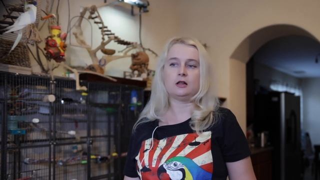 УФ ЛАМПЫ ДЛЯ ПОПУГАЕВ Часть 1 смотреть онлайн