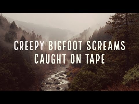 BIGFOOT SCREAMS CAUGHT ON TAPE