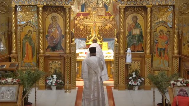 HVC 2022-01-23 Liturgy смотреть онлайн