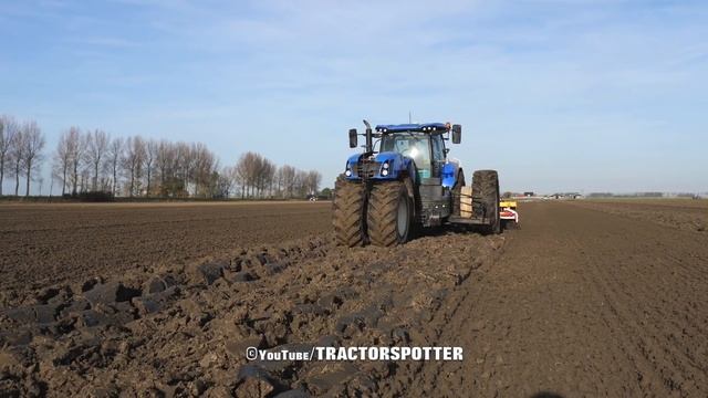 The Trike Tractor | Celeriac Harvest, Ploughing & Sowing | New Holland T7.270 + Pottinger Aerosem V